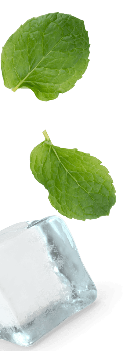 Ice and mint leaves